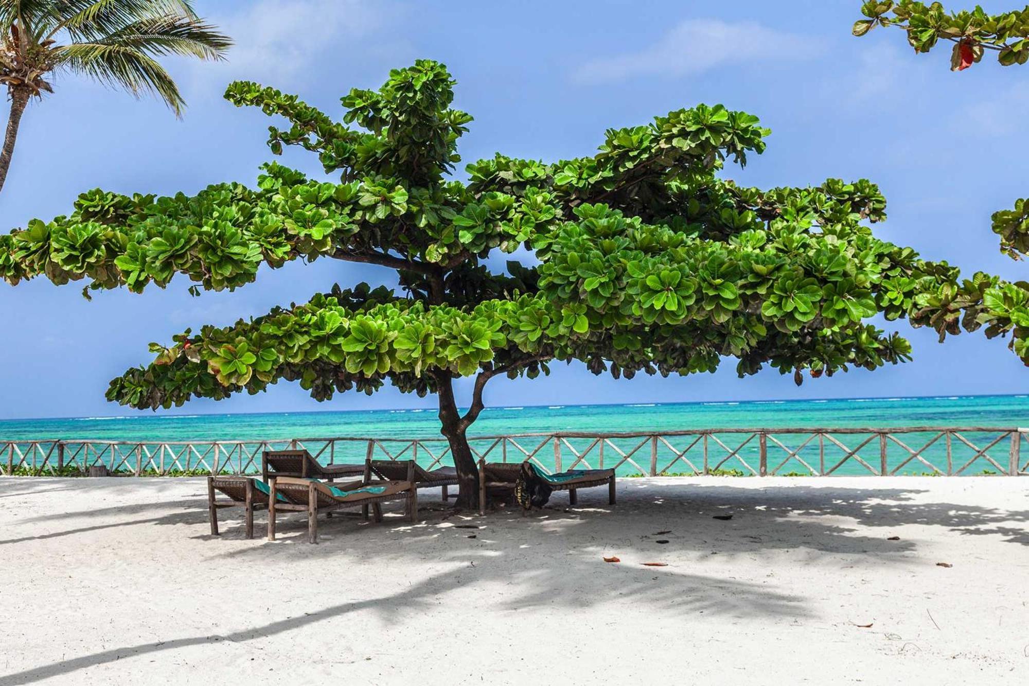 Vrclub Paje Palms Beach Resort エクステリア 写真